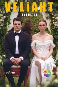 Наследник турецкий сериал